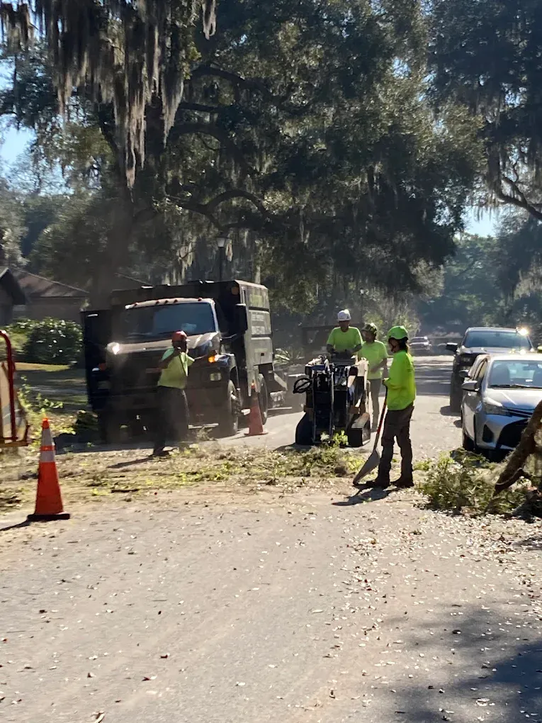 The Sanford's crew in high-visibility shirts and hard hats with traffic cones out, clearing debris from a residential street under mossy oaks.