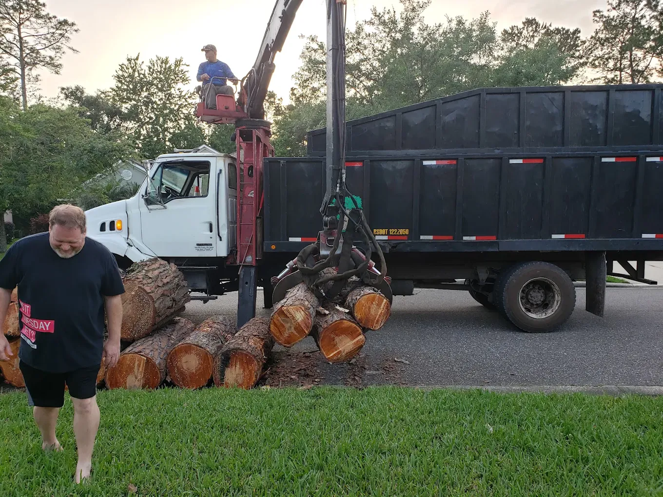 A grapple truck lifting large pine logs into its bed at dusk while a homeowner walks across the lawn.