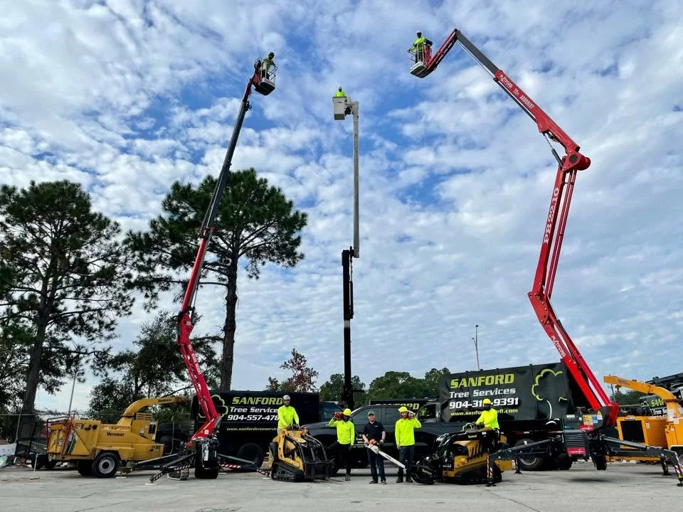 Three tracked spider lifts extended into the sky above the Sanford's Tree Service yard, with the full crew, two chip trucks, chippers and stump grinders lined up in front.