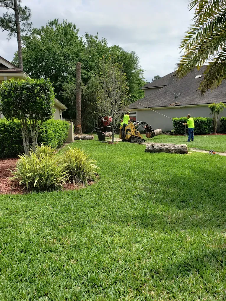 A backyard tree removal in progress: a partially dismantled trunk still standing, log rounds on the grass, a compact tracked loader and a spider lift working near the house — while the wide lawn in the foreground is completely unmarked.