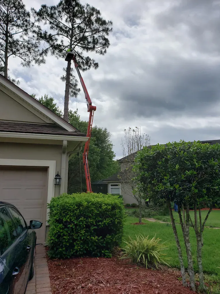 A spider lift squeezed into a narrow side yard, its boom extended up and over the roofline to reach a pine beside the house.