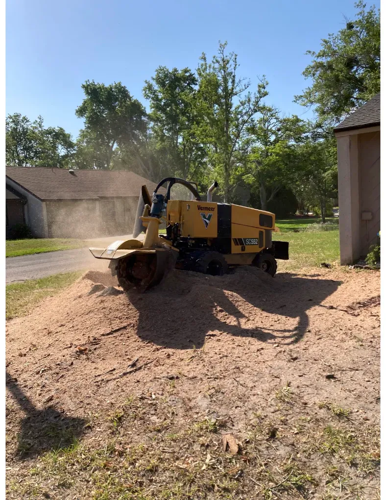 A Vermeer SC552 stump grinder mid-cut with dust in the air and a wide bed of fresh grindings.